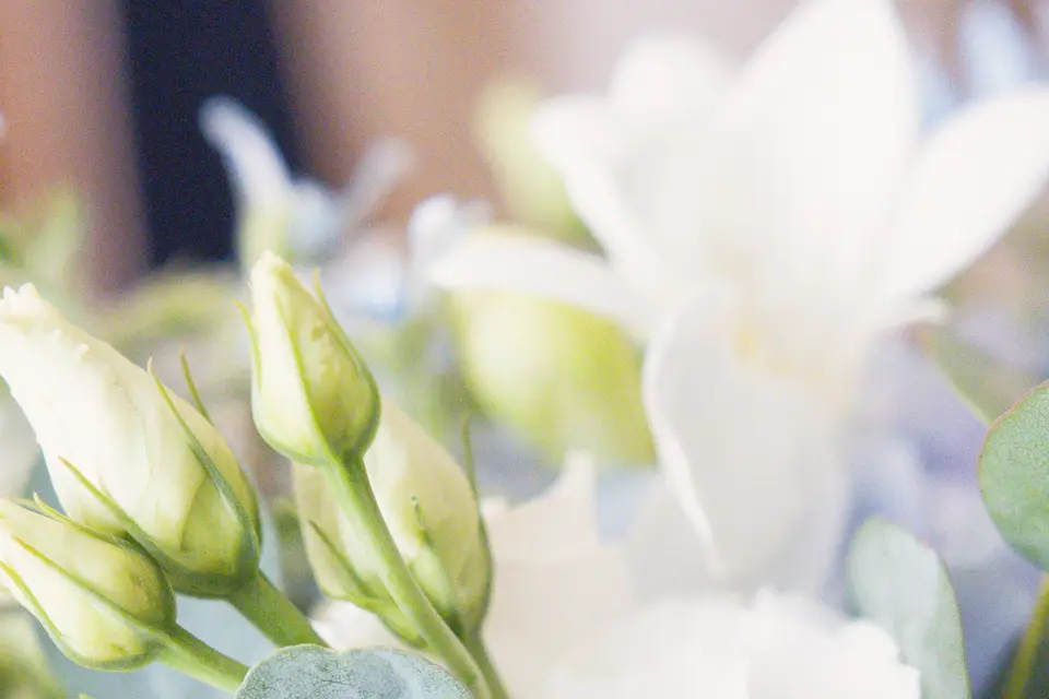 Myriam Lachèze Photographie — photo 6