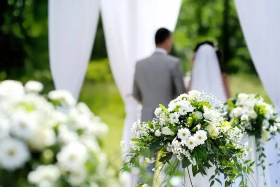 Jany Fleuriste — photo 5