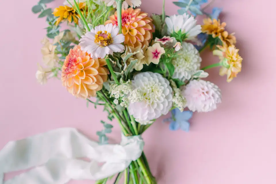 À l'ombre des bleuets — photo 2