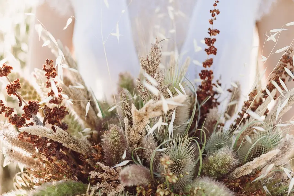 Potins de Fleurs — photo 4