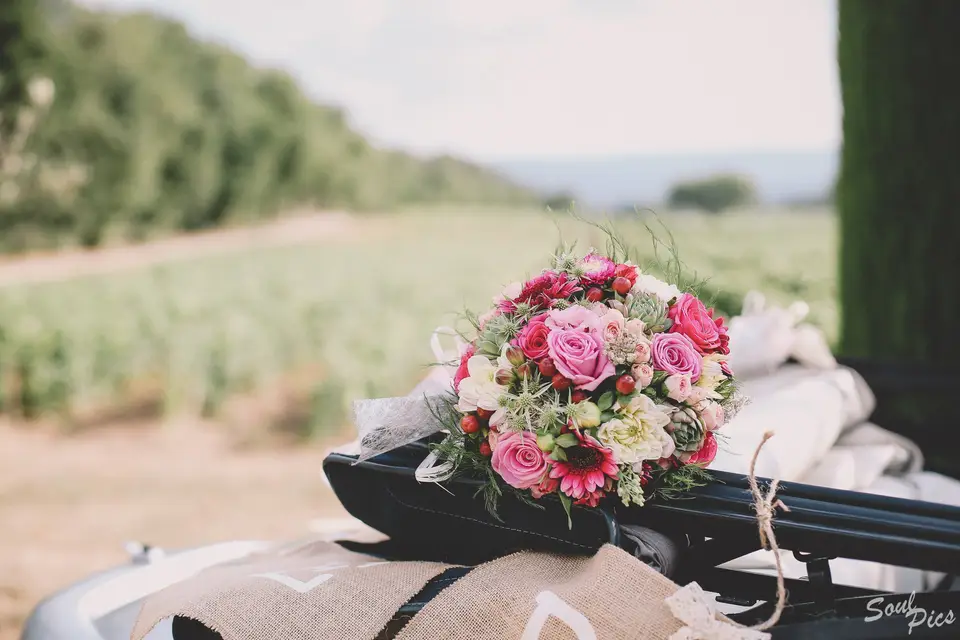 Potins de Fleurs — photo 3