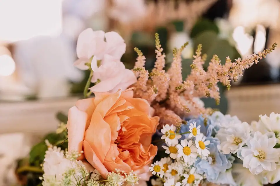 Vert Tige' — photo 8