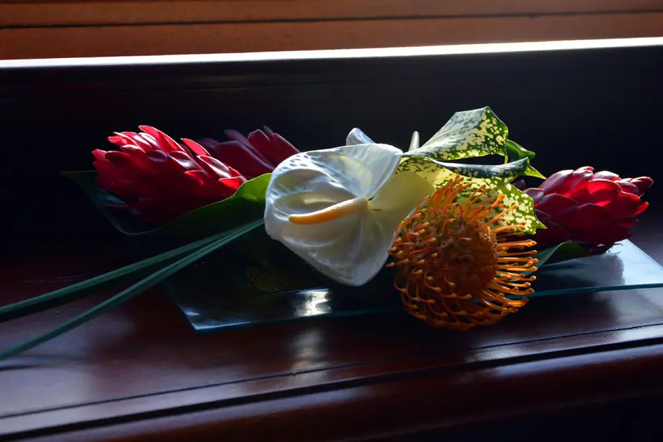 Fleurs Lointaines — photo 4