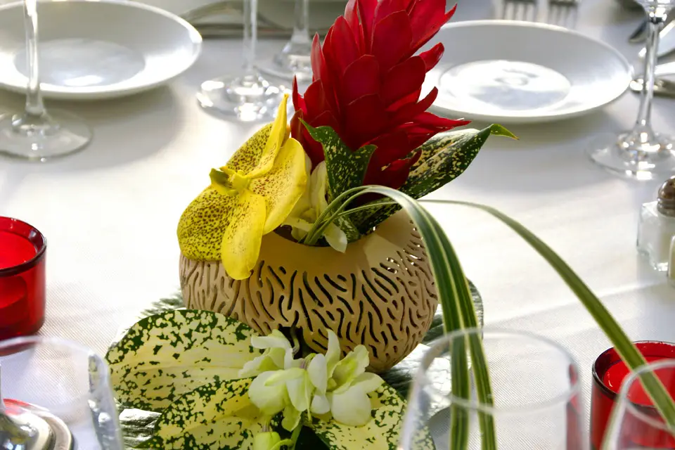 Fleurs Lointaines — photo 5