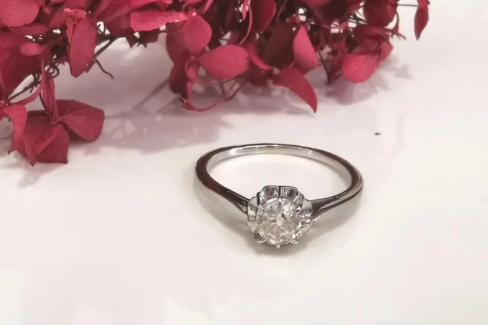 Mister Gold — photo 8