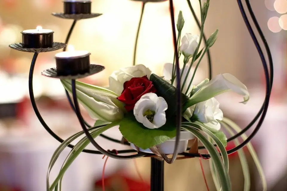 El d'Ange — photo 7