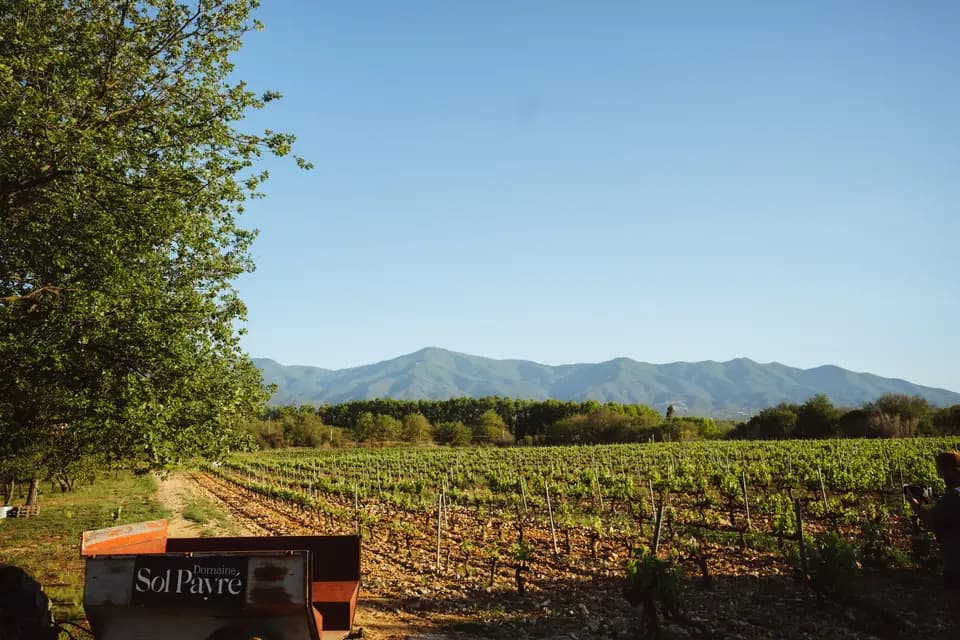 Domaine Sol Payré
