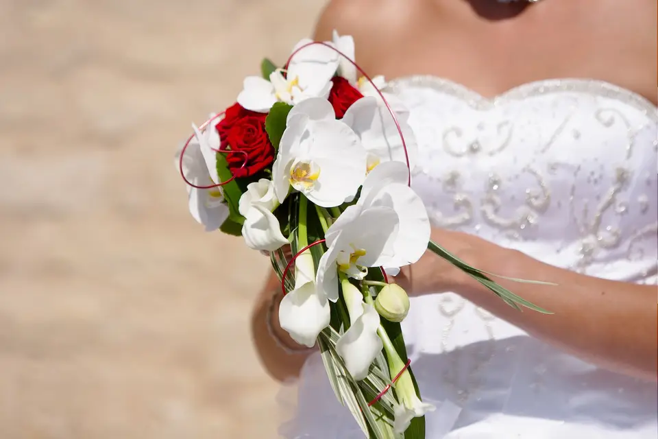 El d'Ange — photo 2