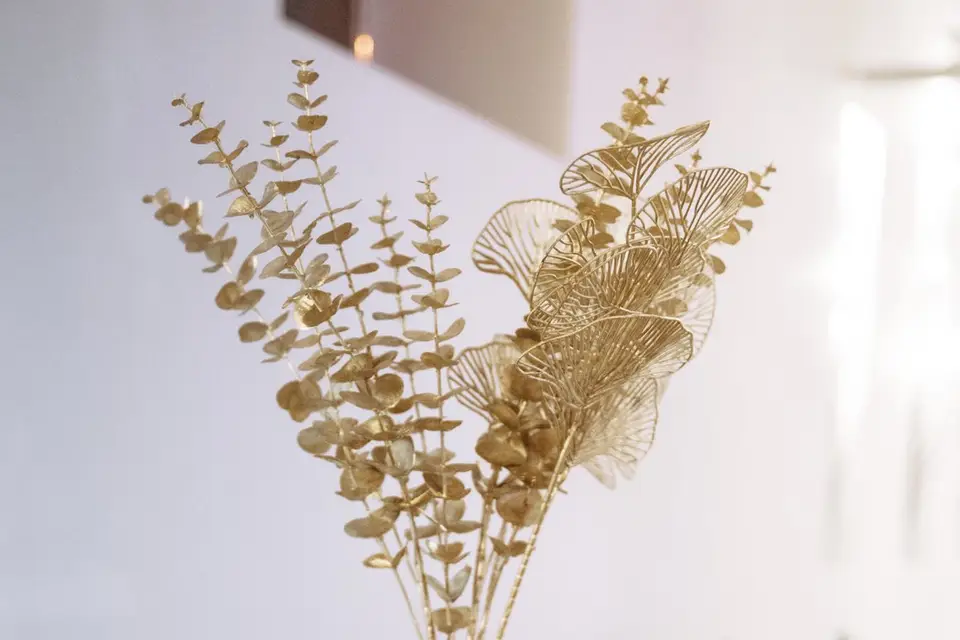 Village Fani — photo 3