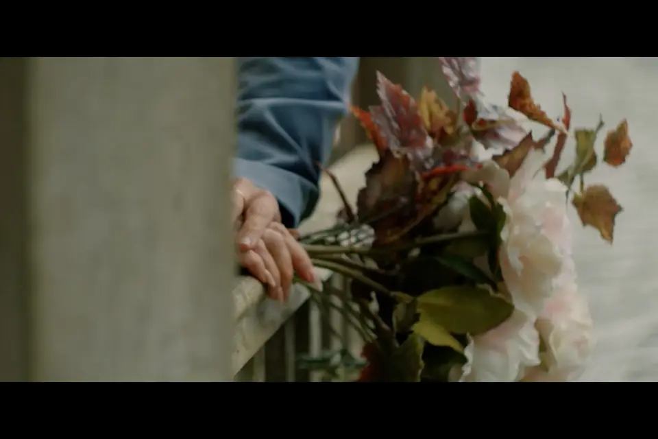 Vallis Pellicula — photo 6