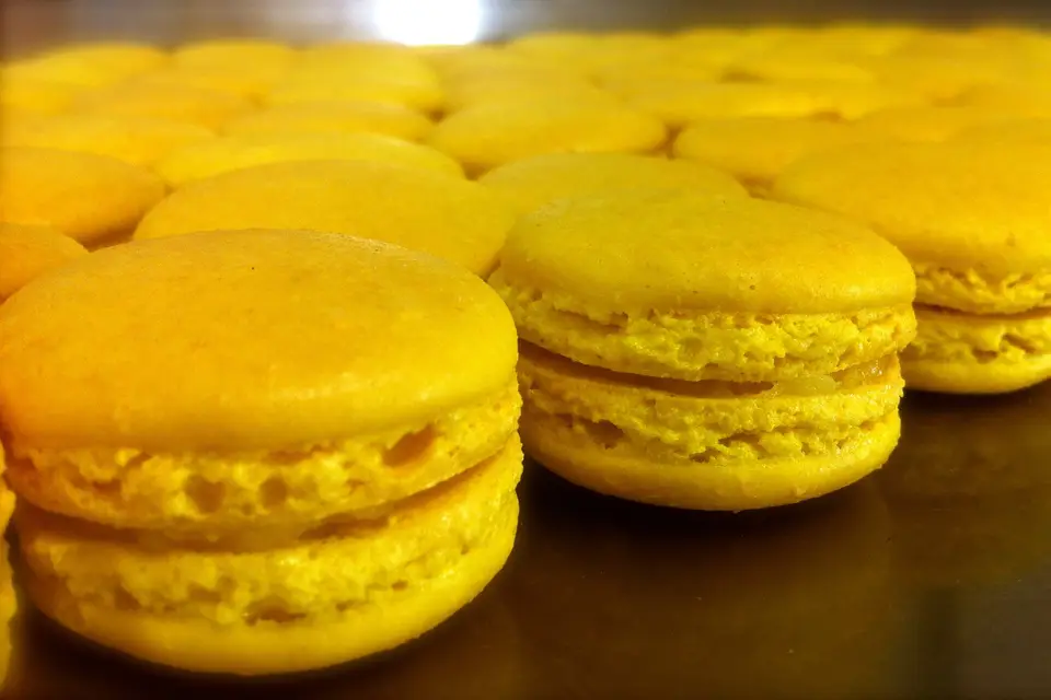 L'Atelier d'Eléonore — photo 2