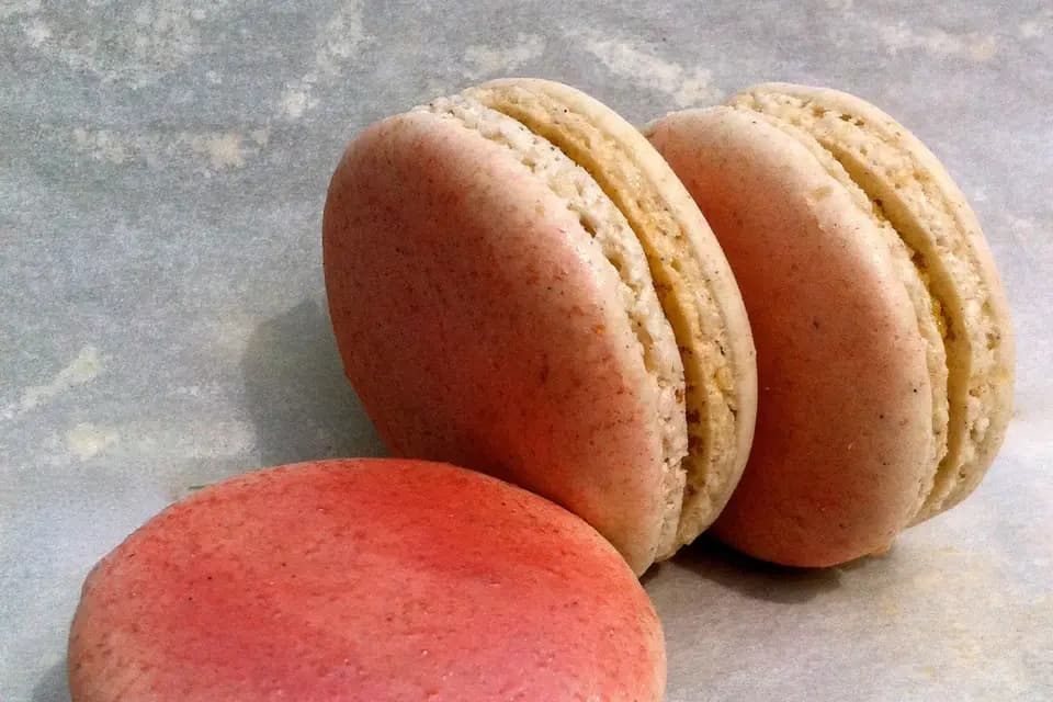 L'Atelier d'Eléonore — photo 4