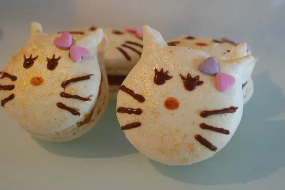 L'Atelier d'Eléonore — photo 3