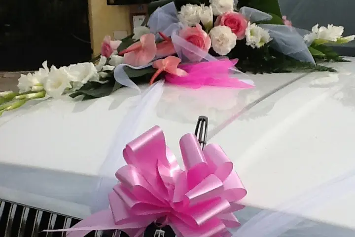 Prestige Limousine Service — photo 6