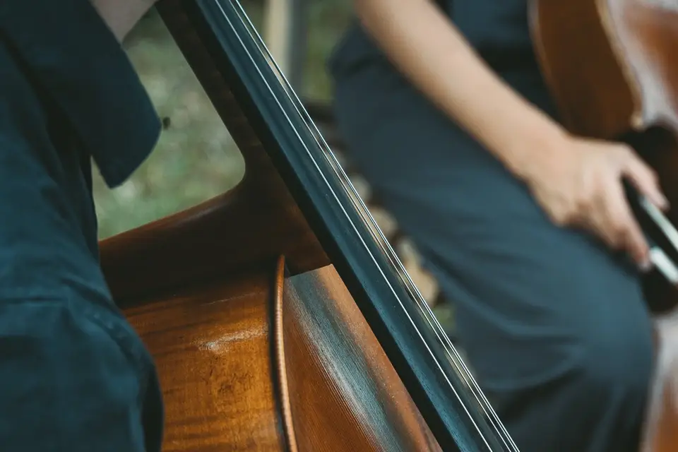 Limoncellos — photo 6