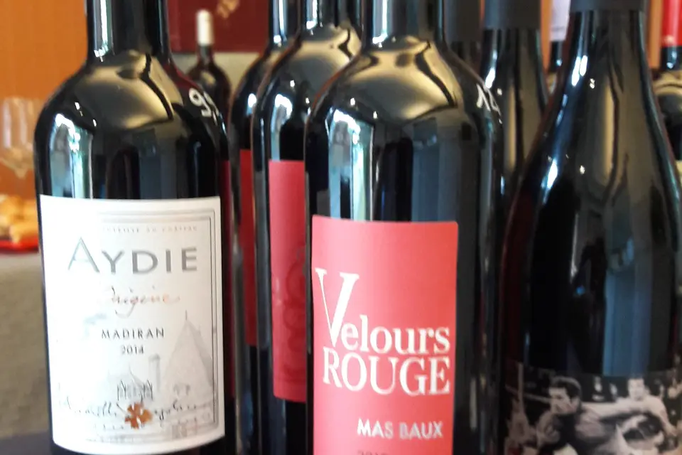 Léonard Vins et Terroir — photo 4