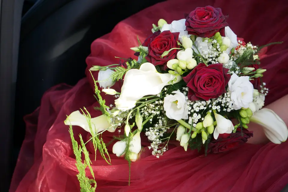 Un jour une photo 78 — photo 1