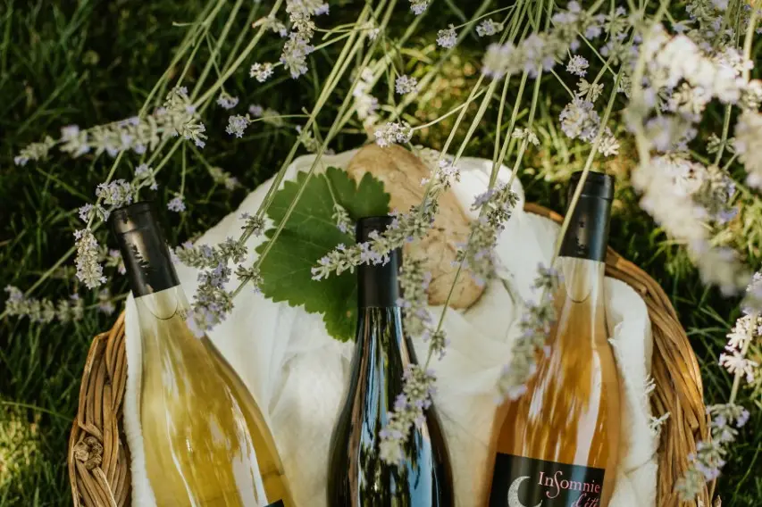 Domaine Tour Saint Michel — photo 2