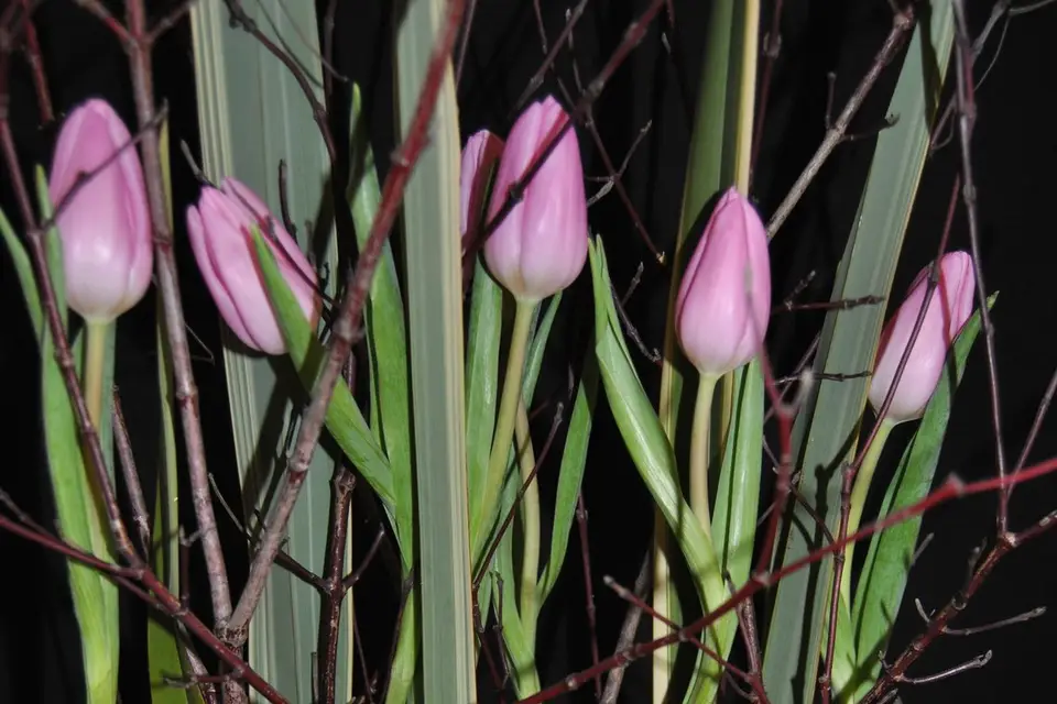 Bulles de Bonheur — photo 7