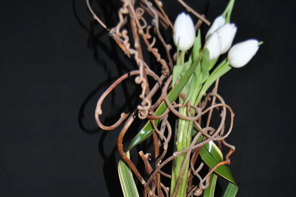 Bulles de Bonheur — photo 8