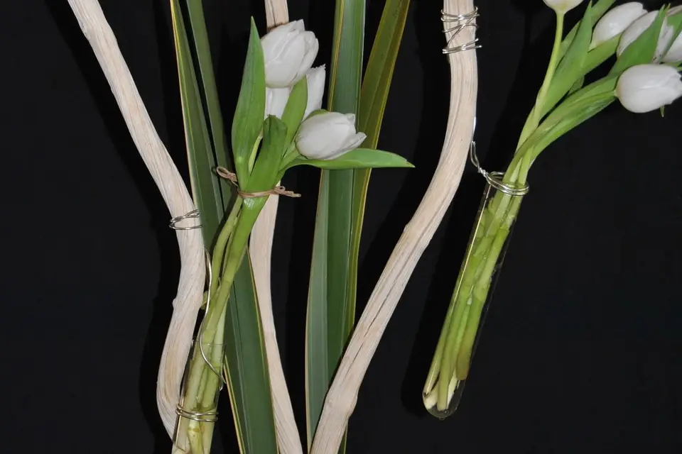 Bulles de Bonheur — photo 4