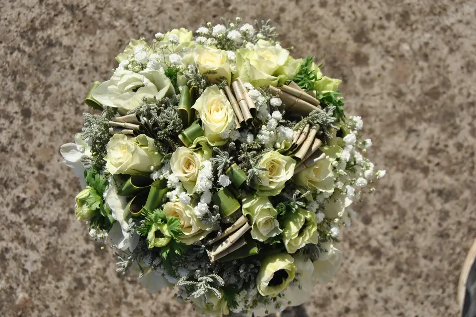 Bulles de Bonheur — photo 1