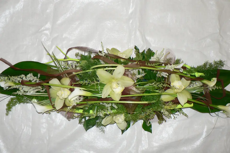 Bulles de Bonheur — photo 5