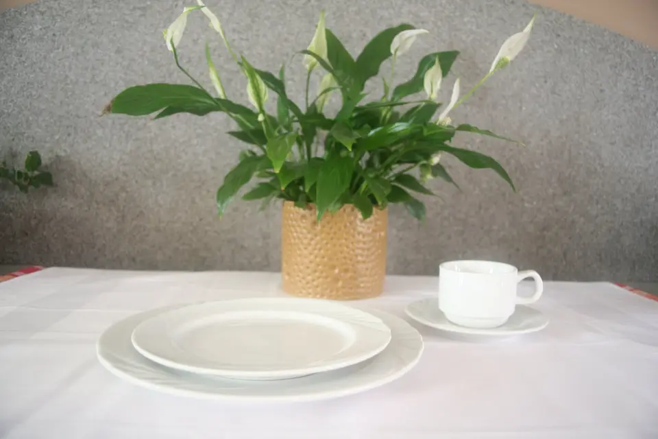 Vaisselle Réception Châtillonnaise — photo 6