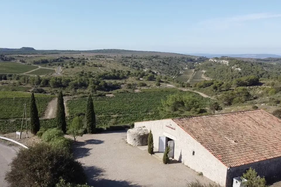 Château Camplazens — photo 1