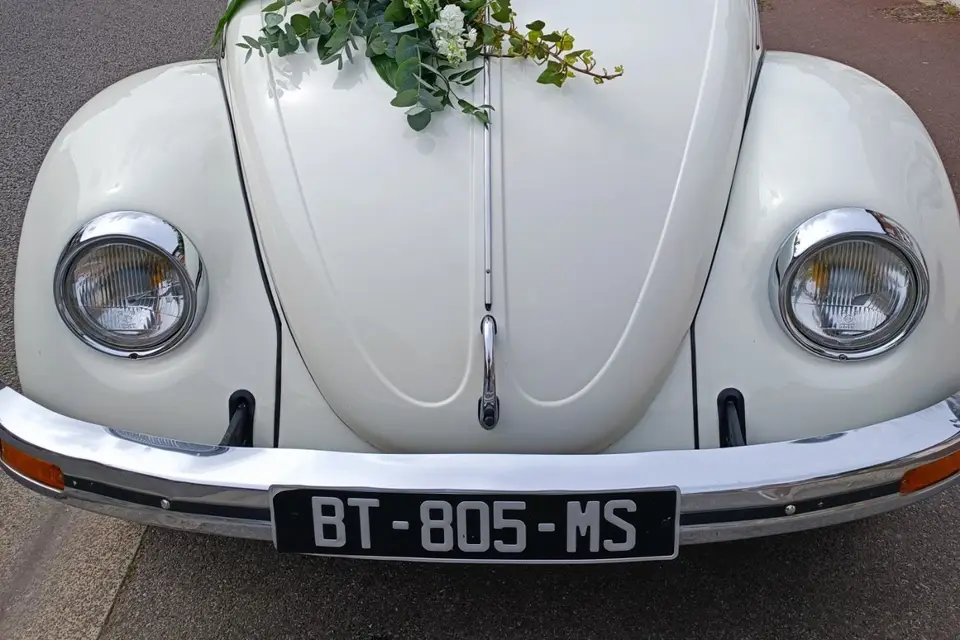 L'atelier de Cerise — photo 7