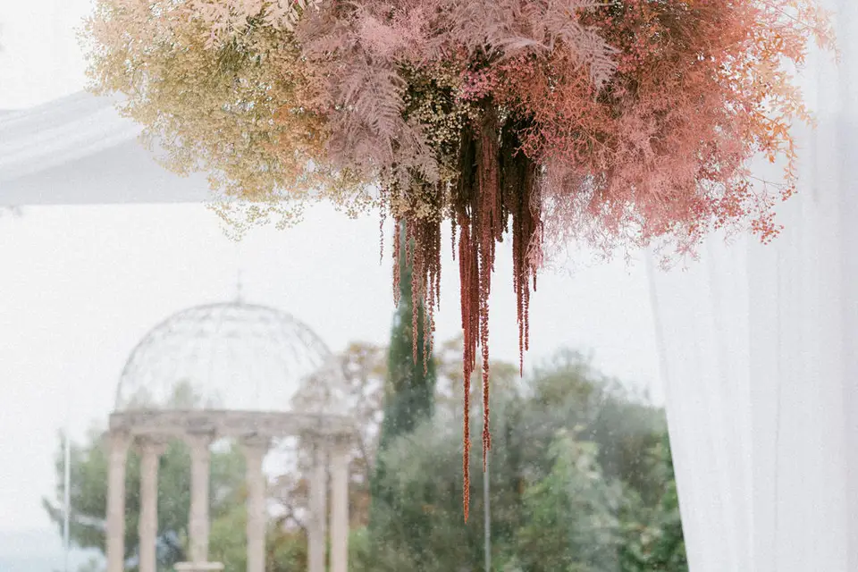 Floraison — photo 5