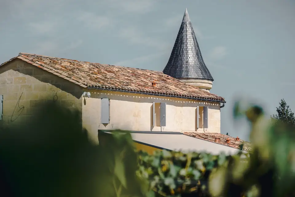 Château La Croizille — photo 8