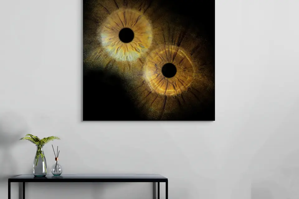 IRIS - Photographie d'Iris — photo 1