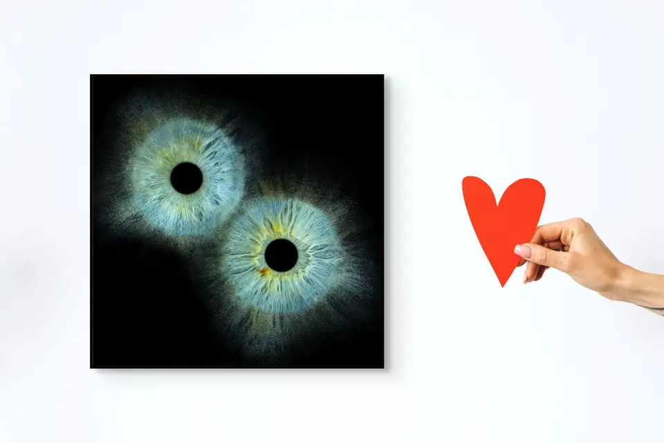 IRIS - Photographie d'Iris — photo 3