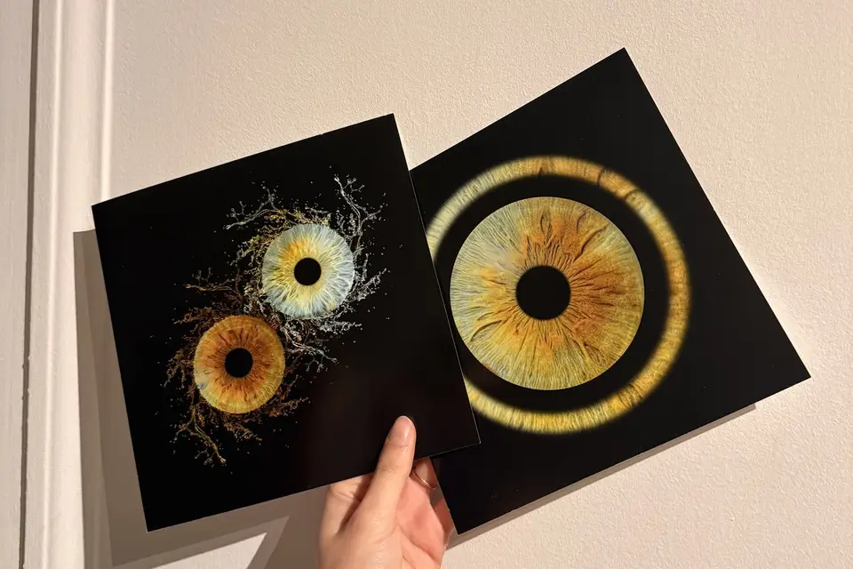 IRIS - Photographie d'Iris — photo 2