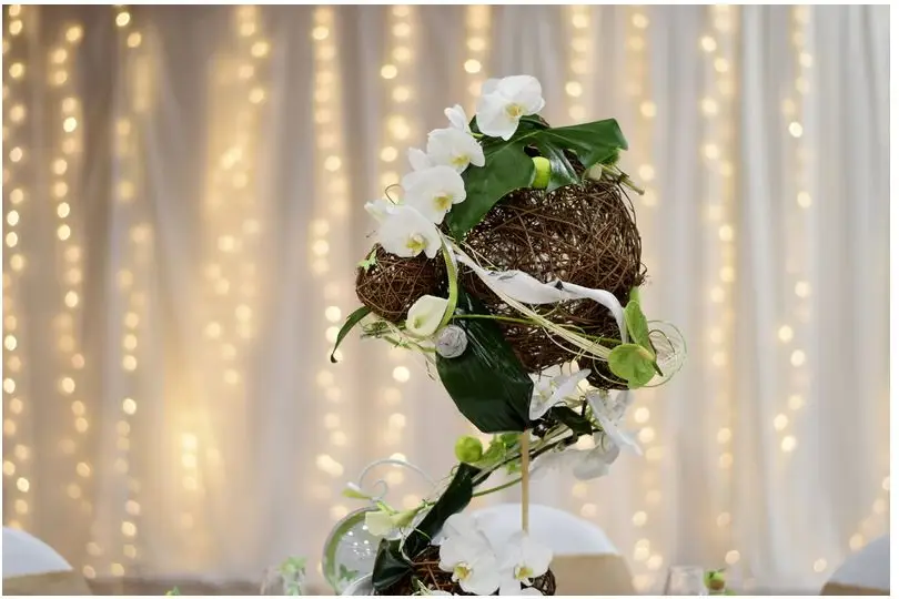 Une Histoire, une Fleur — photo 2