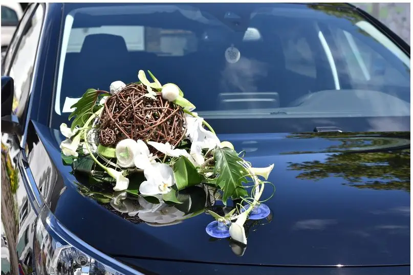 Une Histoire, une Fleur — photo 1