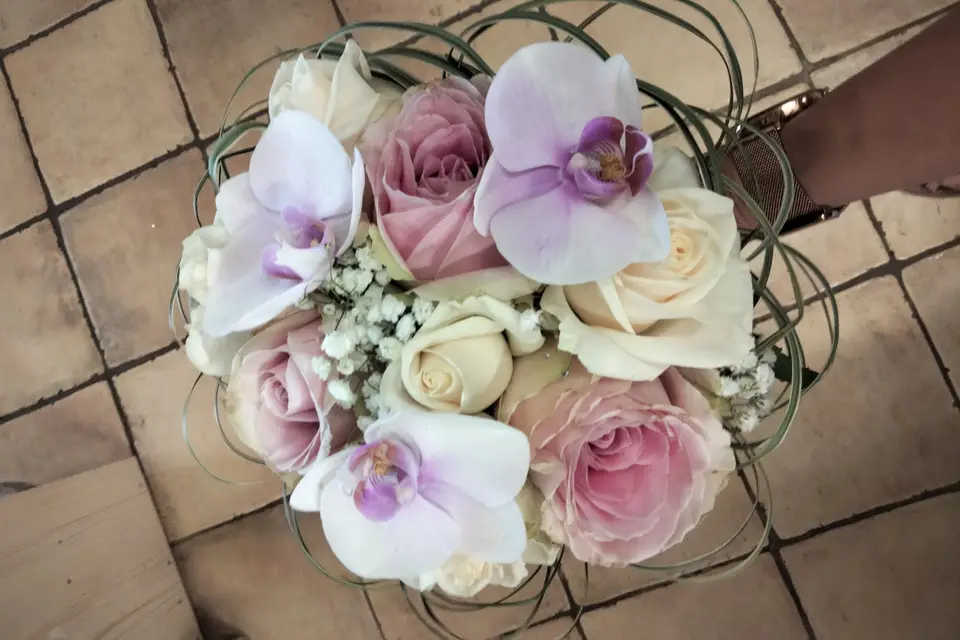 Une Histoire, une Fleur — photo 5