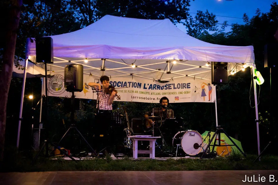 Old Swing Resonator — photo 3