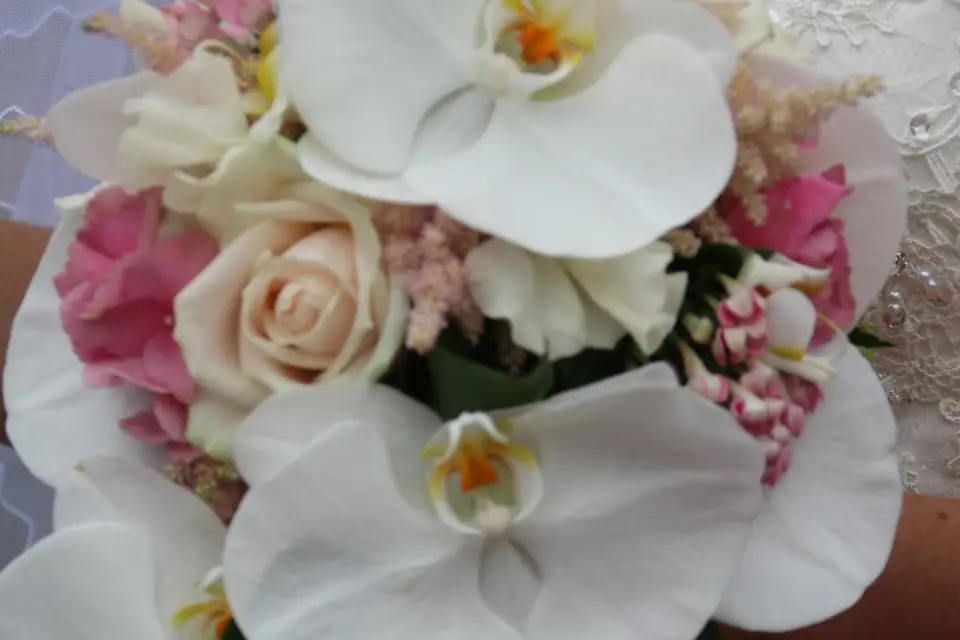 AB Photographe — photo 6