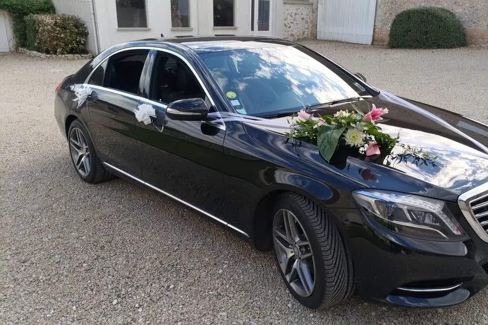 PatriCarLux — photo 7