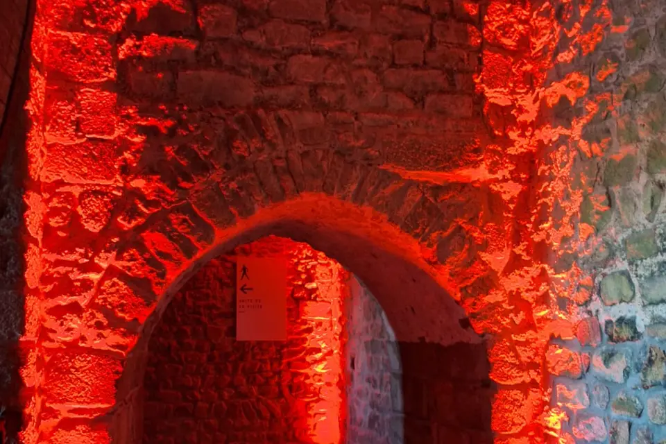 JP Import Services — photo 4