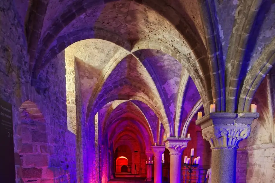 JP Import Services — photo 5