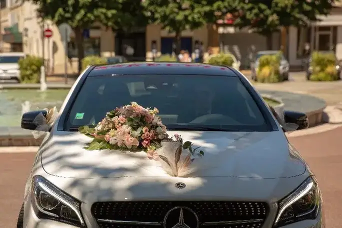 Hamecher Cahors Mercedes Benz — photo 8