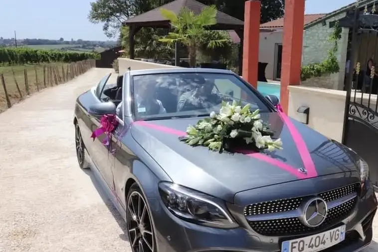 Hamecher Cahors Mercedes Benz — photo 7