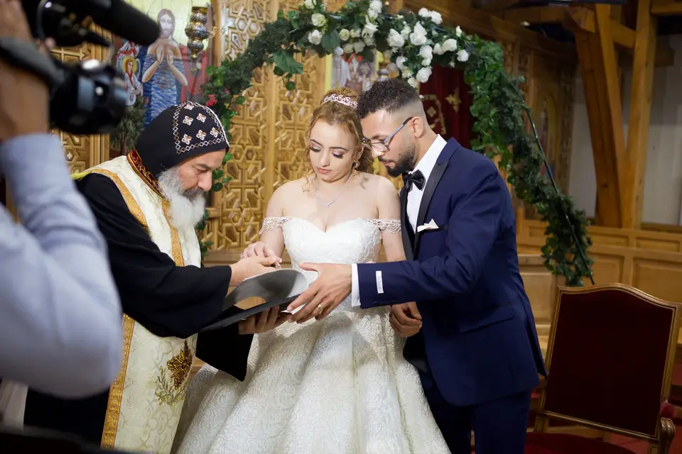 Wildwings — photo 2