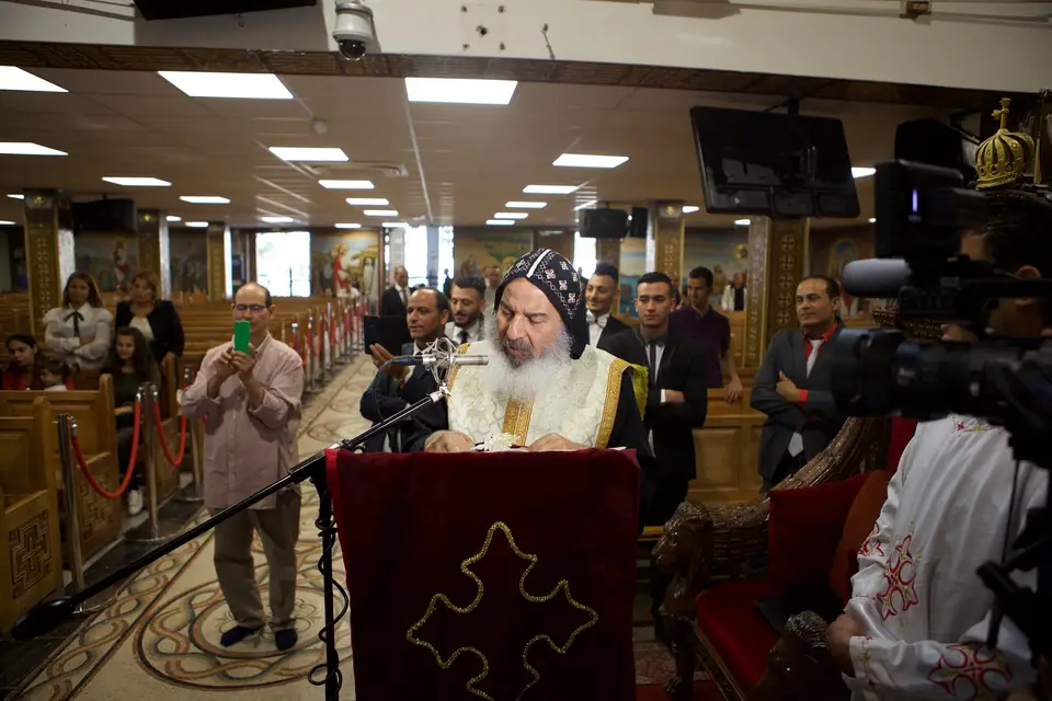 Wildwings — photo 1