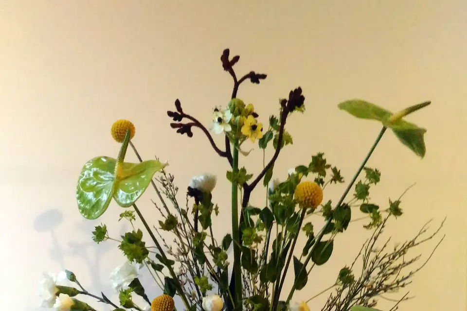 Maison Flor Savoie — photo 7