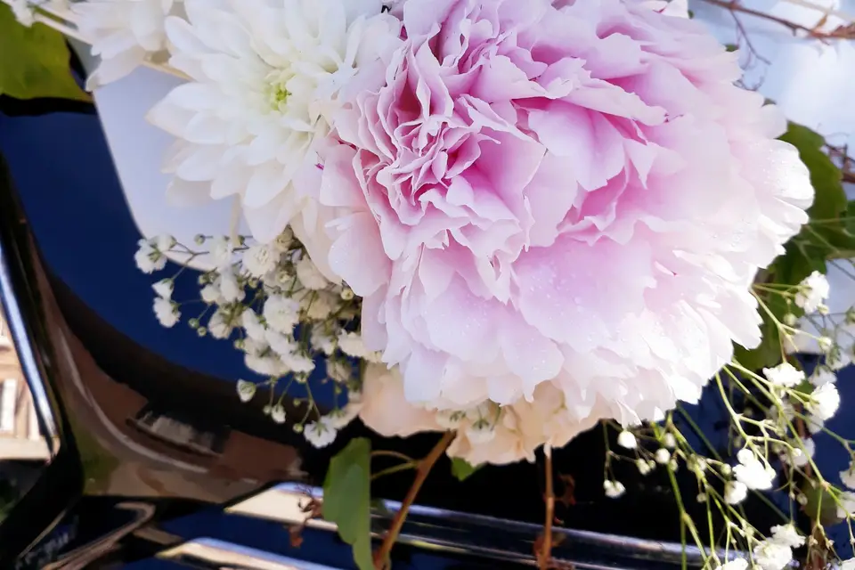 Fleurafleur — photo 2