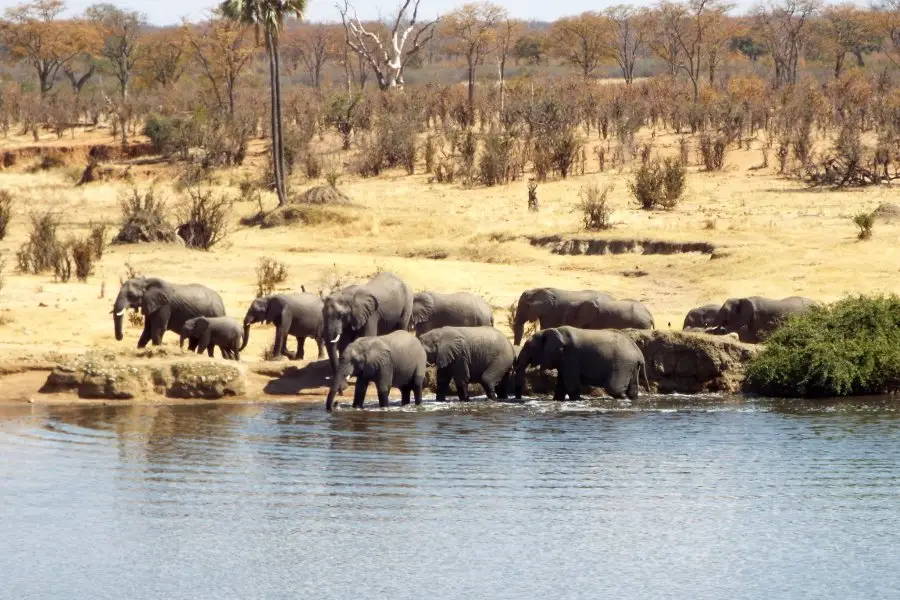 Échappée Australe — photo 6